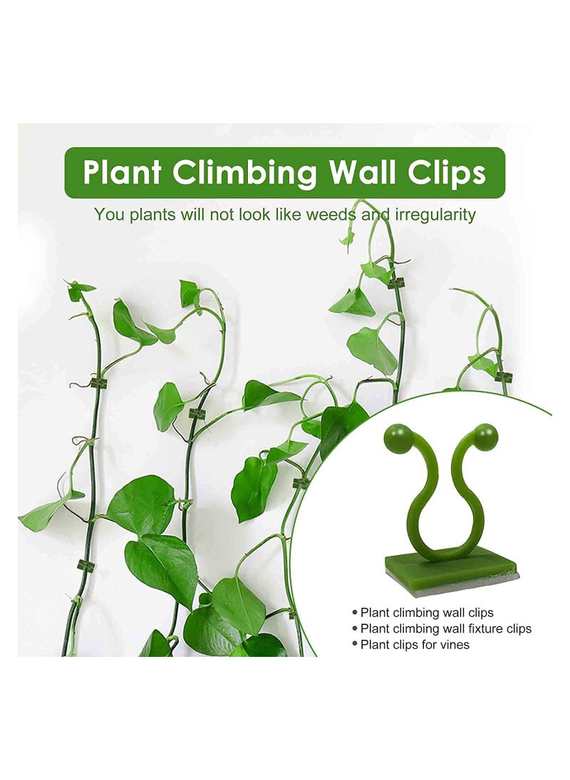 Invisible Plant Wall Climbing Fixing Clips Self Adhesive Rattan Fixing Device Sticky Hook Plant Support Binding Clip For Home Garden