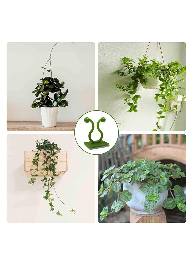 Invisible Plant Wall Climbing Fixing Clips Self Adhesive Rattan Fixing Device Sticky Hook Plant Support Binding Clip For Home Garden