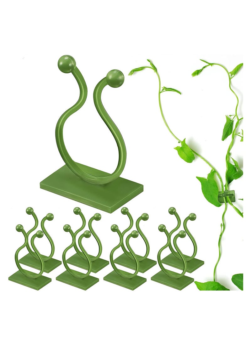 Invisible Plant Wall Climbing Fixing Clips Self Adhesive Rattan Fixing Device Sticky Hook Plant Support Binding Clip For Home Garden