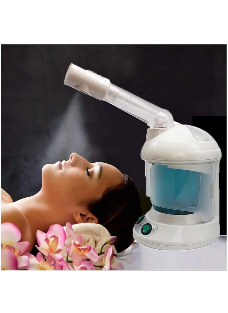 Portable Home Use 2 in 1 Hot Mist Facial Steamer Humidifier Ozone Hair Facial Steamer Skin Care Facial Atomizer Multifunctional Tool