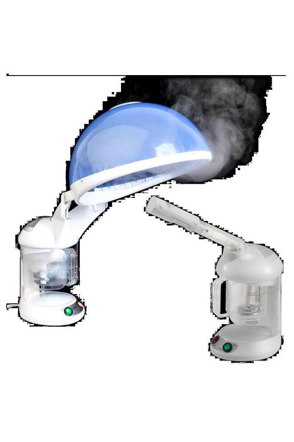 2 In 1 Face And Hair Steamer
