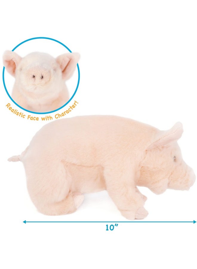 Perla The Pig - 10 Inch Stuffed Animal Plush Piglet - By Tigerhart Toys