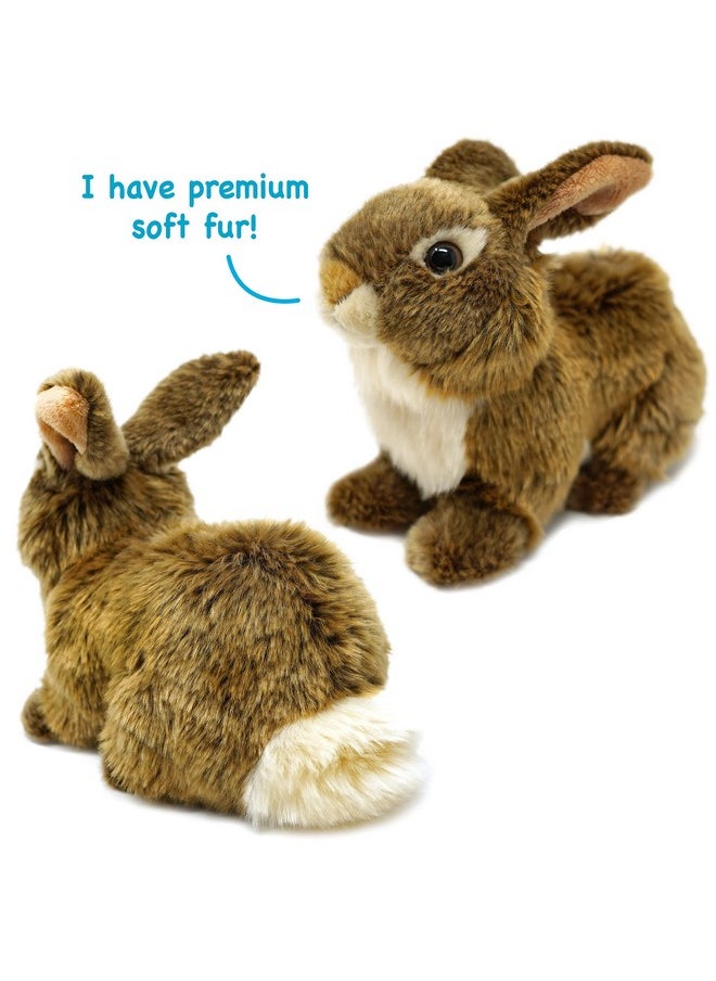 Brigid The Brown Rabbit - 10 Inch Stuffed Animal Plush Bunny - By Tigerhart Toys