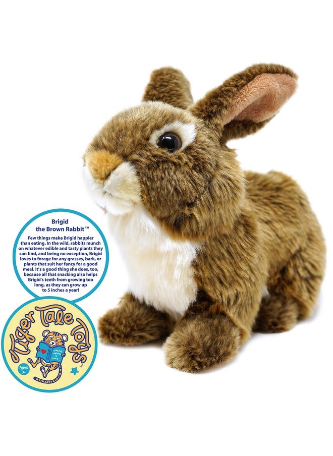 Brigid The Brown Rabbit - 10 Inch Stuffed Animal Plush Bunny - By Tigerhart Toys