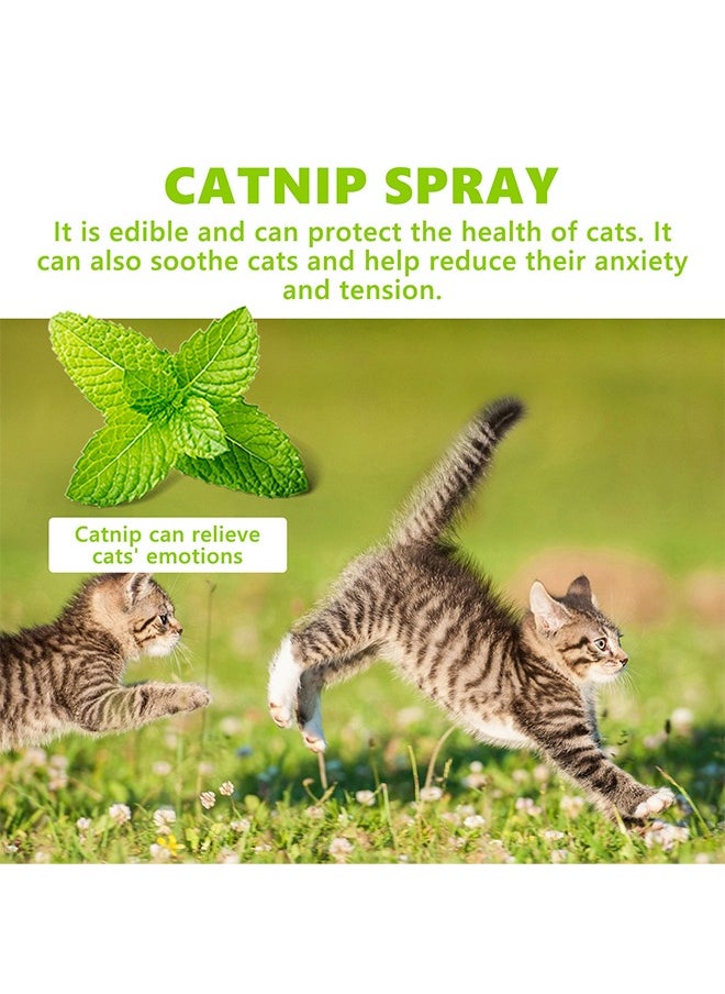 Catnip spray -suitable for cats and kittens to relieve cat anxiety and enhance pet vitality