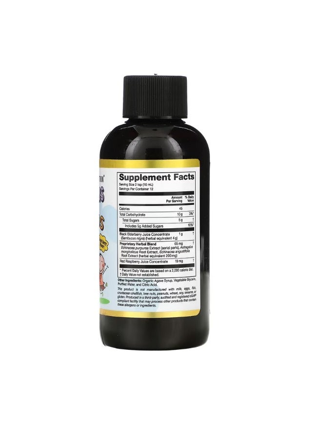 Children Sambucus Elderberry Syrup 4 fl oz 120 ml