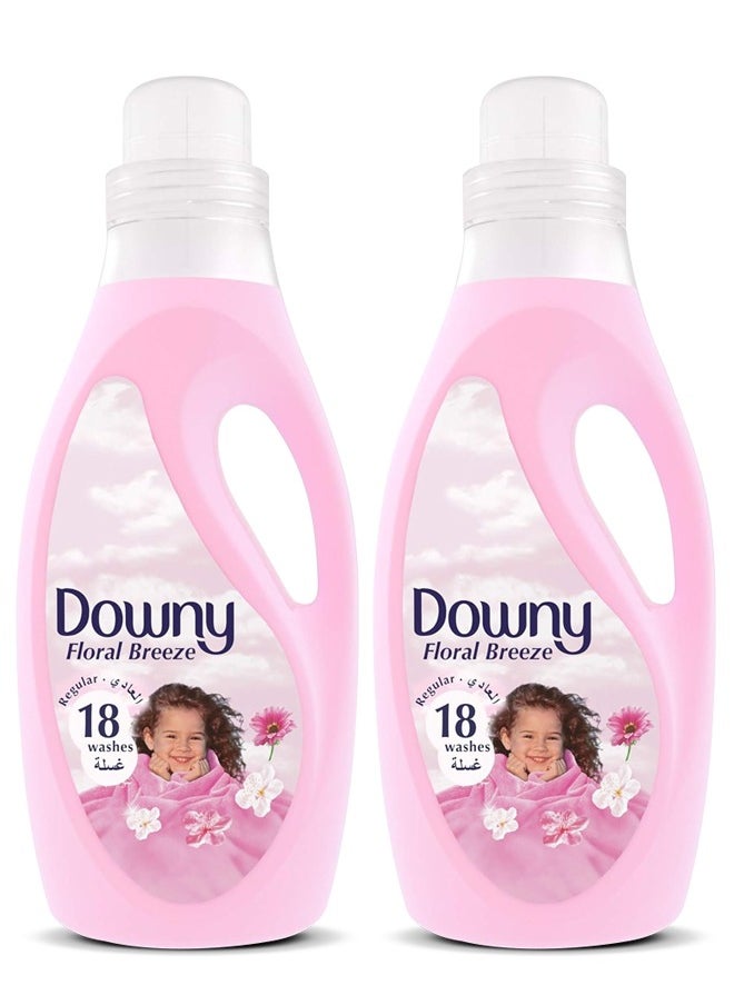 Regular Fabric Softener Floral Breeze 2x2L