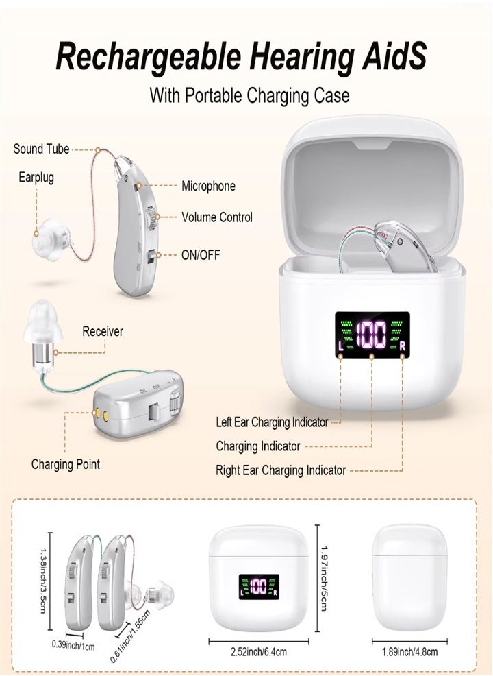 New hearing aid for seniors, noise reduction, amplifier, with LED charging case, suitable for moderate to severe hearing loss (silver)