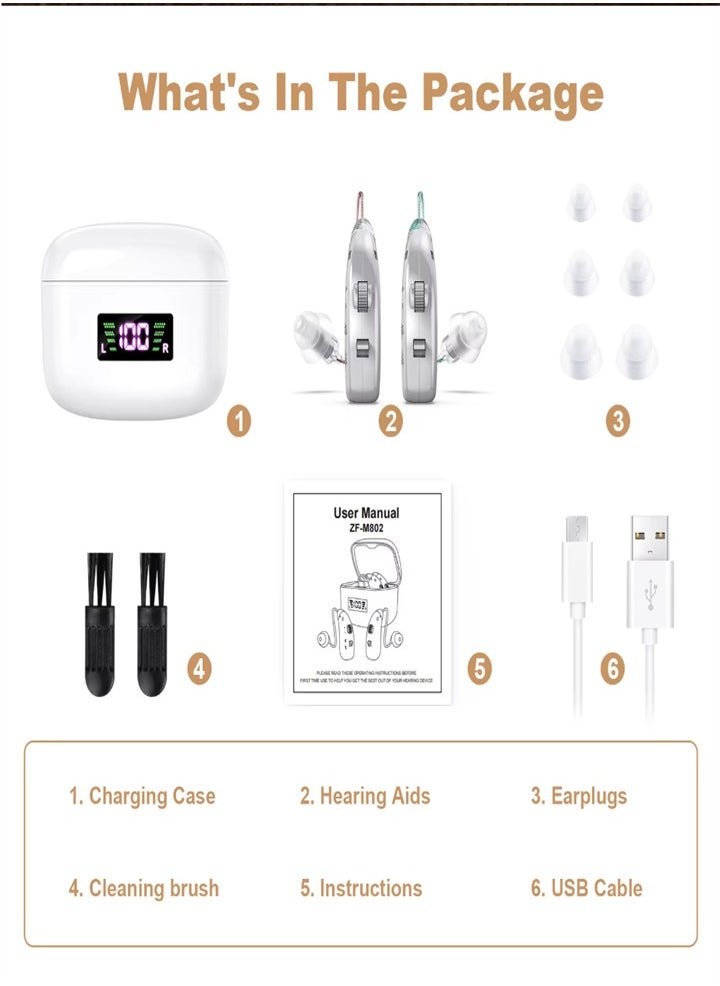 New hearing aid for seniors, noise reduction, amplifier, with LED charging case, suitable for moderate to severe hearing loss (silver)