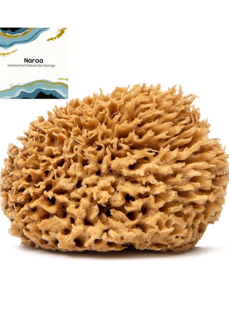 Naroa Soft Natural Sponge | Gentle Sea Sponge for Bathing Healthy Skin | Unbleached Shower Body Scrubber Puff | Eco Friendly Bath Spa Sponge (Soft - Medium)