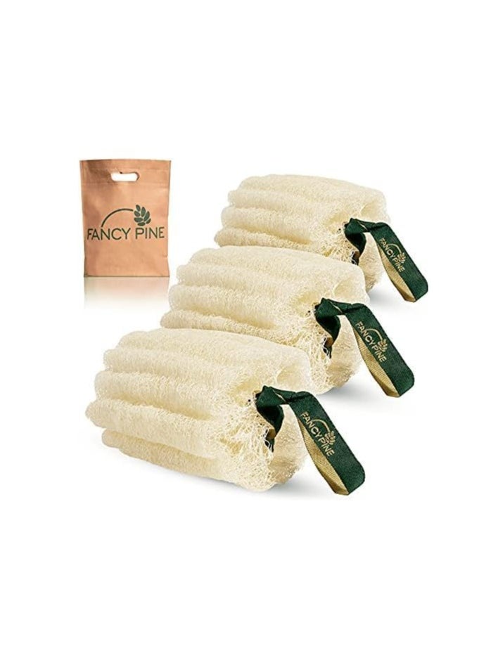 Egyptian Loofah Sponge (Pack of 3) - 100% Natural Organic Loofah Exfoliating Body Scrubber - Textured Shower Loofah for Men, Women, Kids - Hard to Soft Bath Sponge for Cellulite, Dry Skin