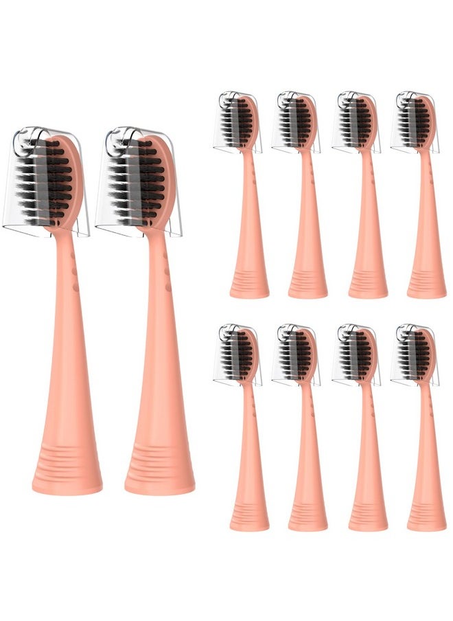 Replacement Toothbrush Heads With Covers For Burst (10 Count, Rose Gold)