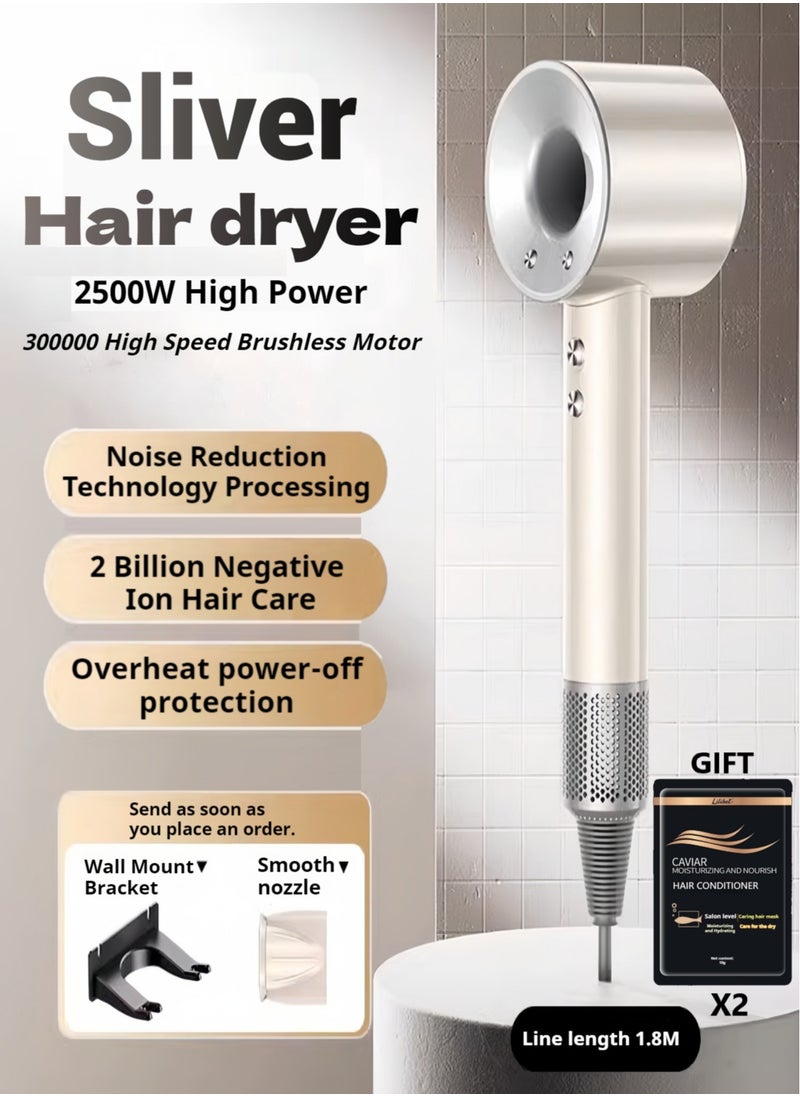 Portable Ionic Hair Dryer with 2 Hair Conditionars, Sliver 1800W Professional Blow High Wind Speed Dryer With Overheat Protection