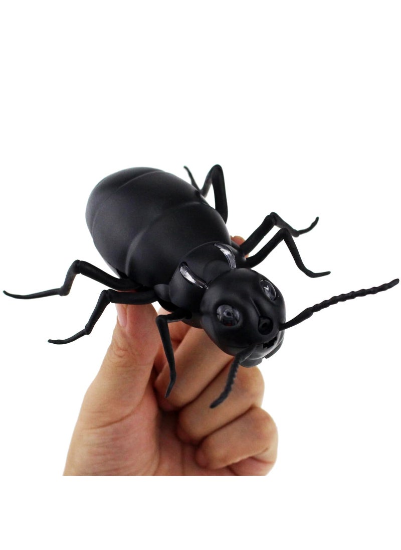 Remote Control Ant RC Car Vehicle Animal Electric Insect 6 Years Plus Kids Toy