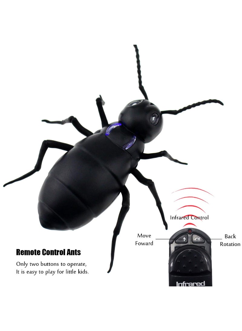 Remote Control Ant RC Car Vehicle Animal Electric Insect 6 Years Plus Kids Toy