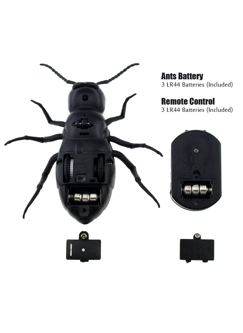Remote Control Ant RC Car Vehicle Animal Electric Insect 6 Years Plus Kids Toy