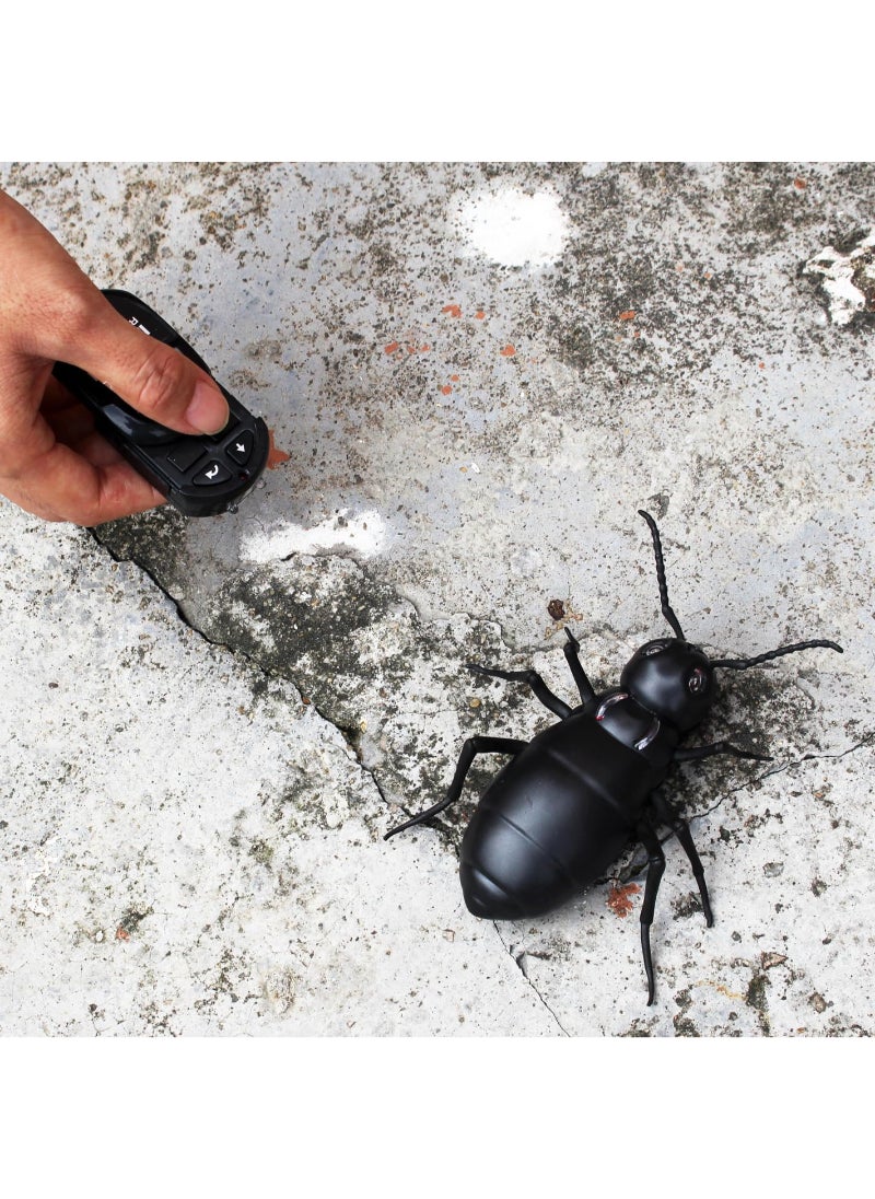 Remote Control Ant RC Car Vehicle Animal Electric Insect 6 Years Plus Kids Toy
