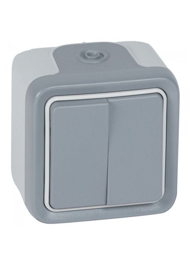 10A Weatherproof Switch 2Gang 2Way Plexo IP55