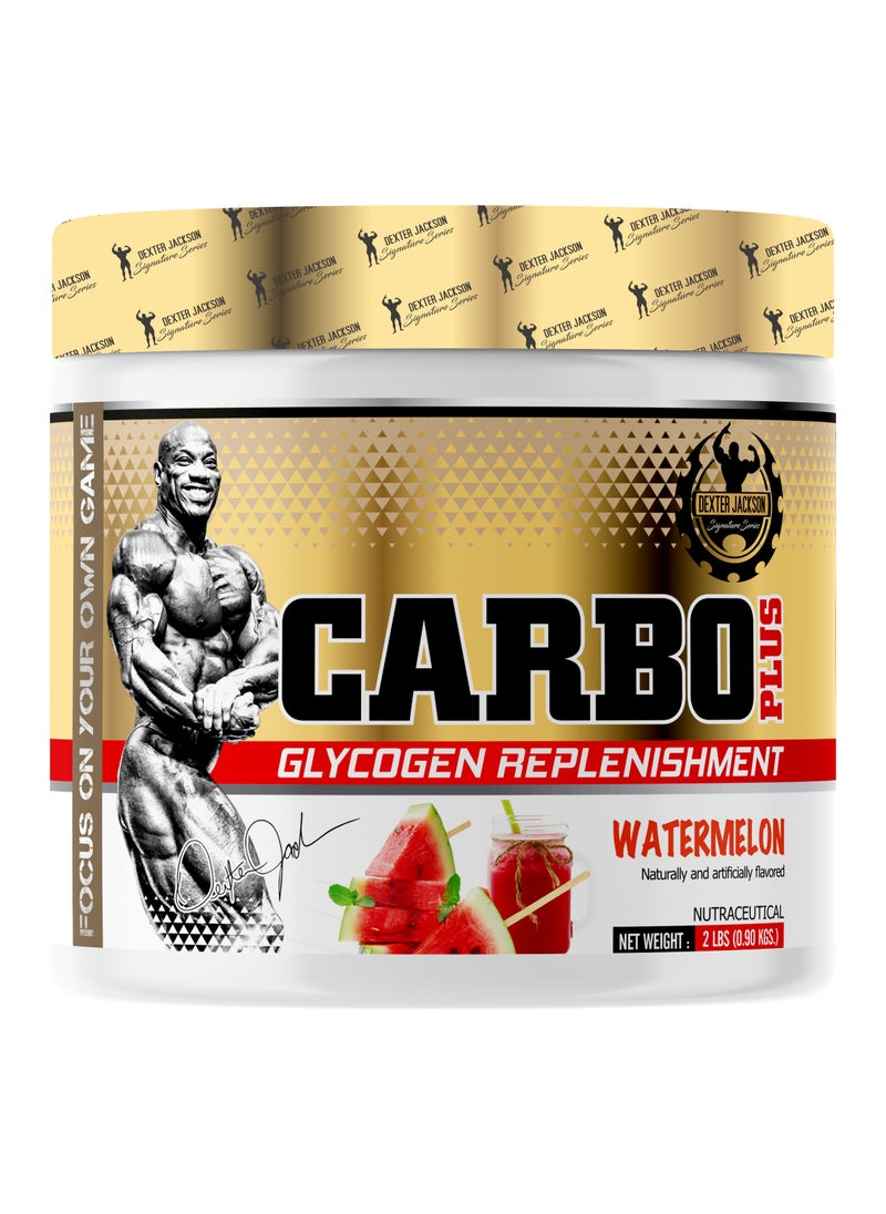 Gold Series Carbo Plus - Optimized Carbohydrate Blend for Endurance - Watermelon, 36 Servings (2 lbs)