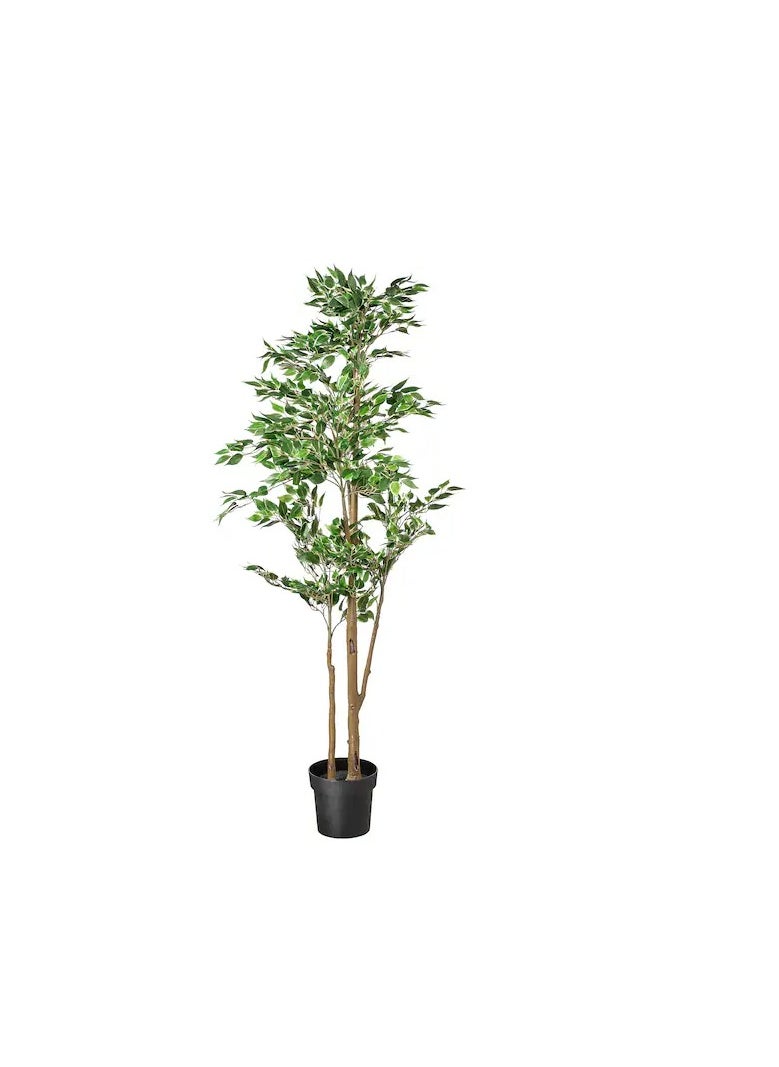 FEJKA Artificial potted plant, in/outdoor Weeping fig, 21 cm