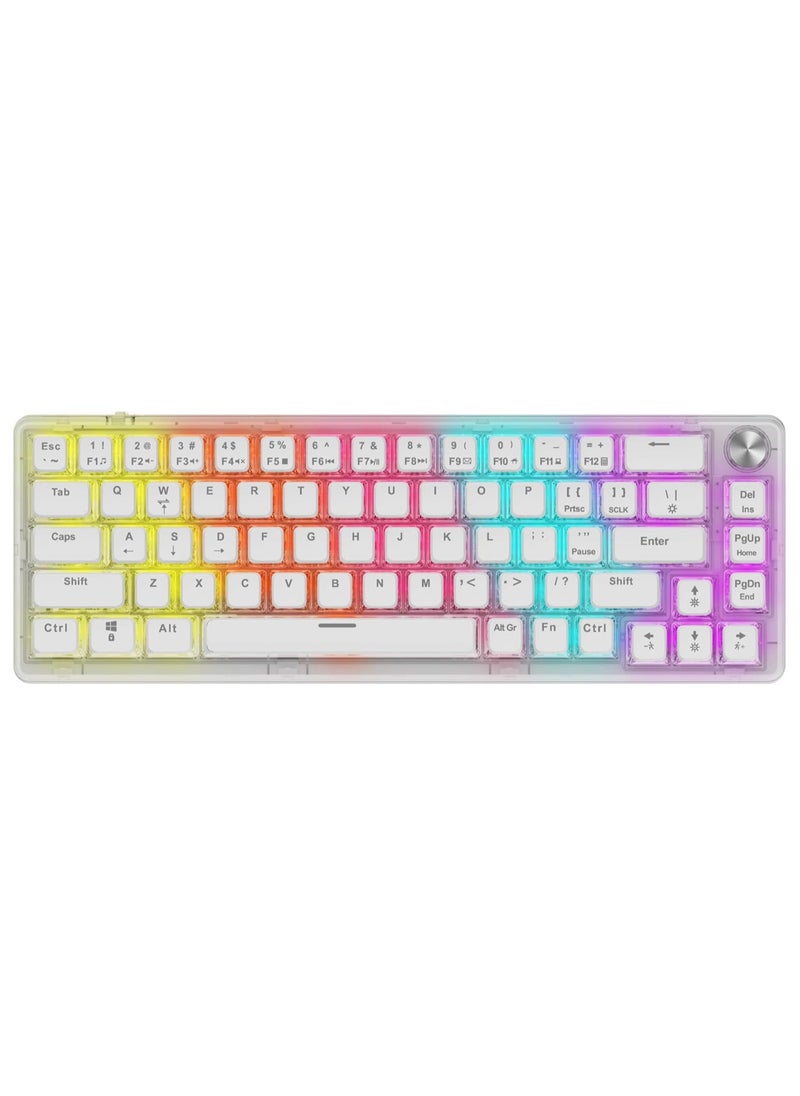 Transparent 67 Keys RGB Mechanical Keyboard with Multi-Function Rotary Knob | Red Switch | US + Arabic Layout