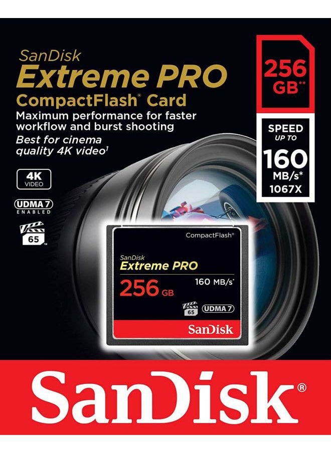 Extreme PRO CF 160MB/s 256 GB VPG 65, UDMA 7 256.0 GB