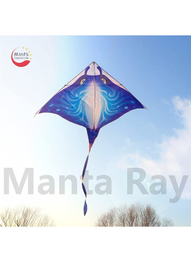 Devil Fish Kite for Kids Adults, Delta Kite Single Line Large, Kite Handle Include (Blue)