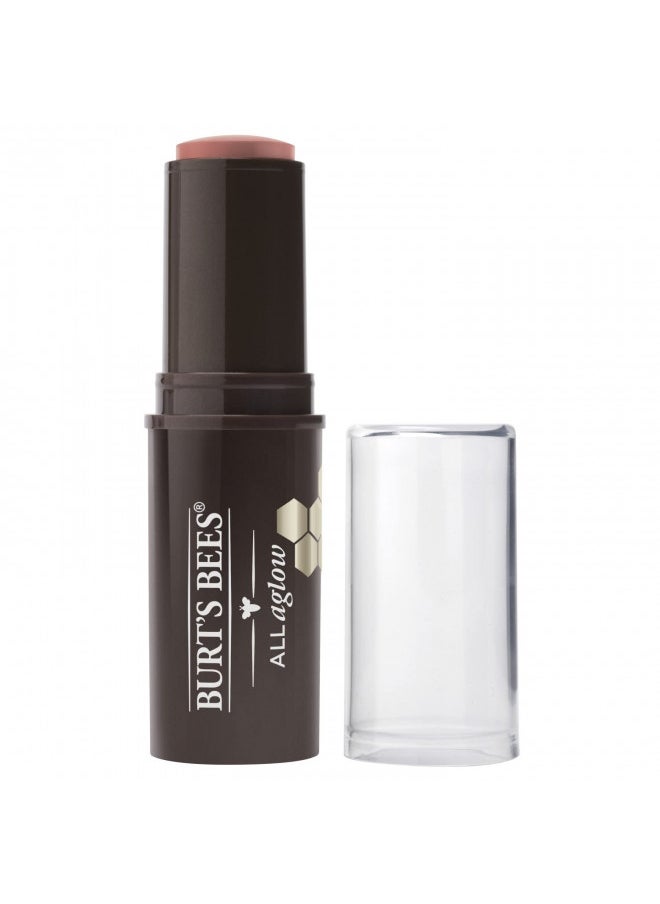 BURTS BEES Peach Pond All Aglow Lip & Cheek Stick, 0.32 OZ