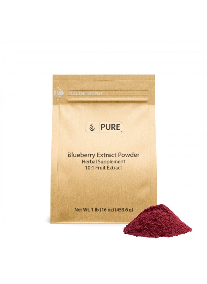 PURE ORIGINAL INGREDIENTS Blueberry Extract Powder (1 lb) Pure Herbal Supplement Extract Powder