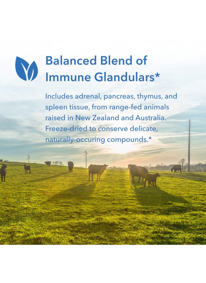 Allergy Research Group Immuno-Gland Plex Natural Glandulars - 60 Vegicaps