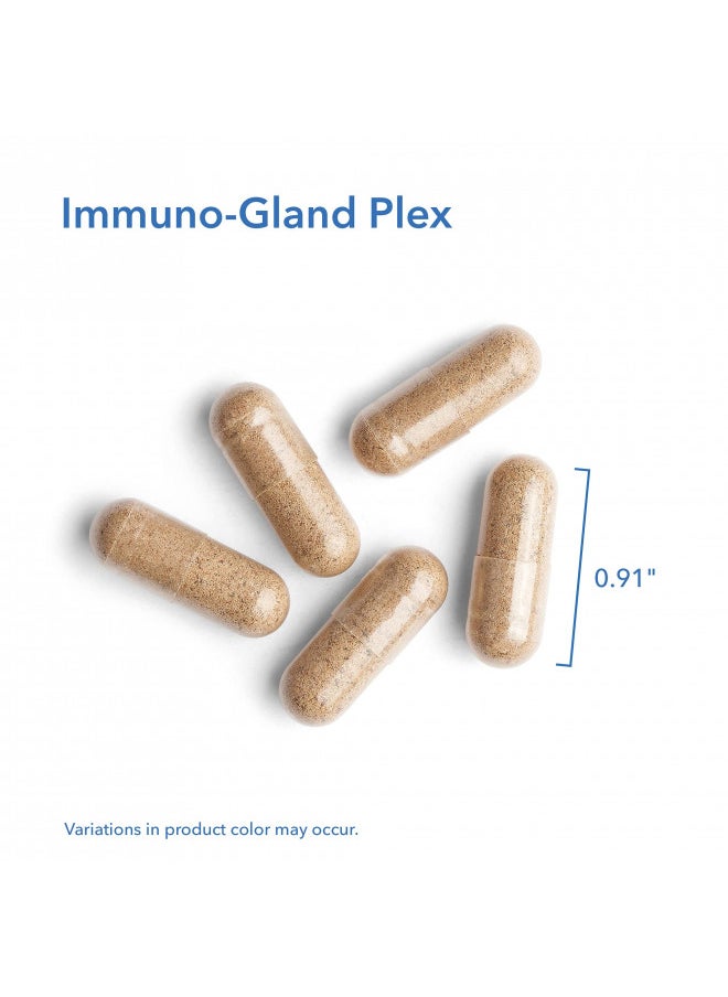 Allergy Research Group Immuno-Gland Plex Natural Glandulars - 60 Vegicaps