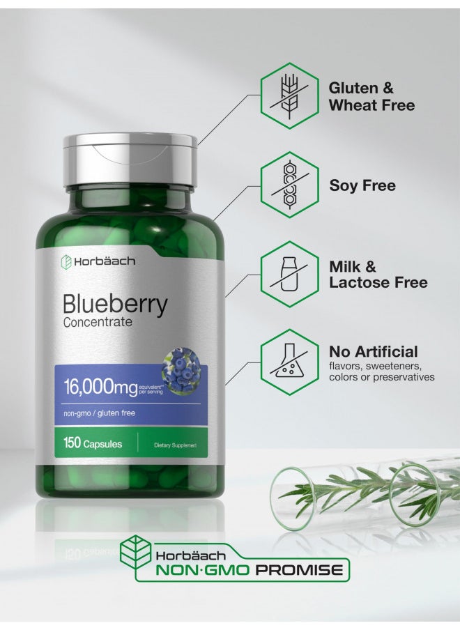 Horbäach Blueberry Extract Supplement | 150 Capsules | Blueberry Concentrate | Non-GMO, Gluten Free