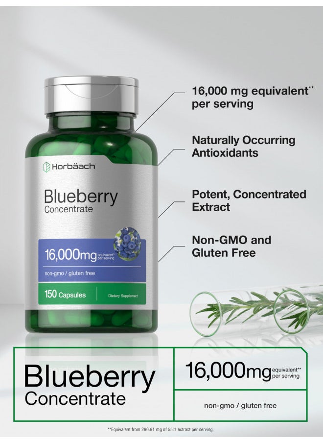 Horbäach Blueberry Extract Supplement | 150 Capsules | Blueberry Concentrate | Non-GMO, Gluten Free