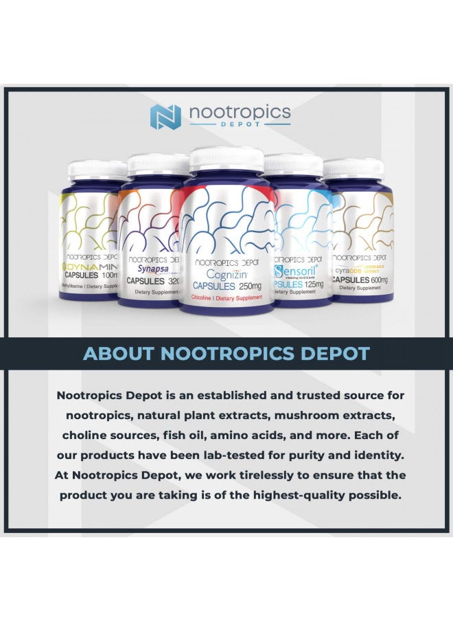 Nootropics Depot 4-DMA-7,8-DHF Capsules | 10mg | 90 Count | 4'-DMA-7,8-Dihydroxyflavone