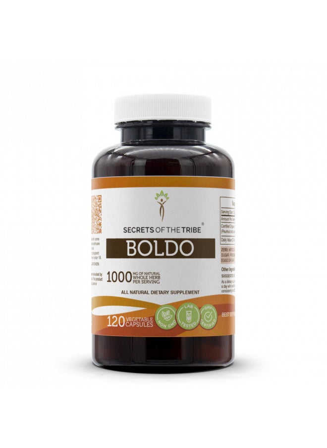 Secrets of the Tribe Boldo 120 Capsules, 1000 mg, Boldo (Peumus boldus) Dried Leaf (120 Capsules)