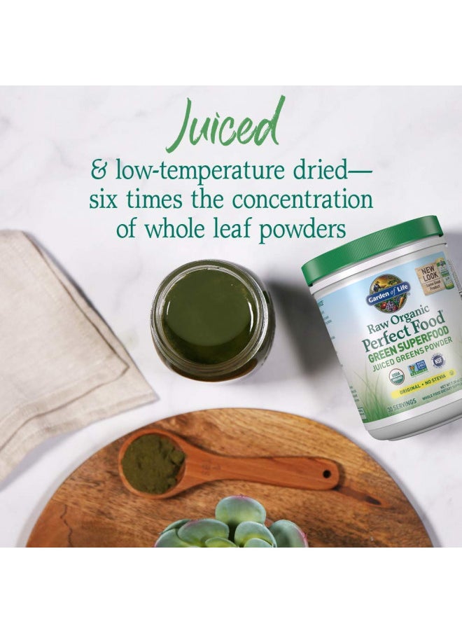 Garden of Life Raw Organic Perfect Food Green Superfood Juiced Greens Powder - Original Stevia-Free, 30 Servings, Non-GMO, Gluten Free Whole Food Dietary Supplement, Alkalize, Detoxify, Energize