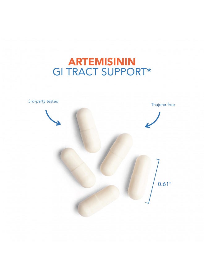 Allergy Research Group Artemisinin Supplement - GI Tract Support, Pure Qinghaosu from Artemisia annua, Thujone-Free, Hypoallergenic, Vegetarian Capsules - 300 Count