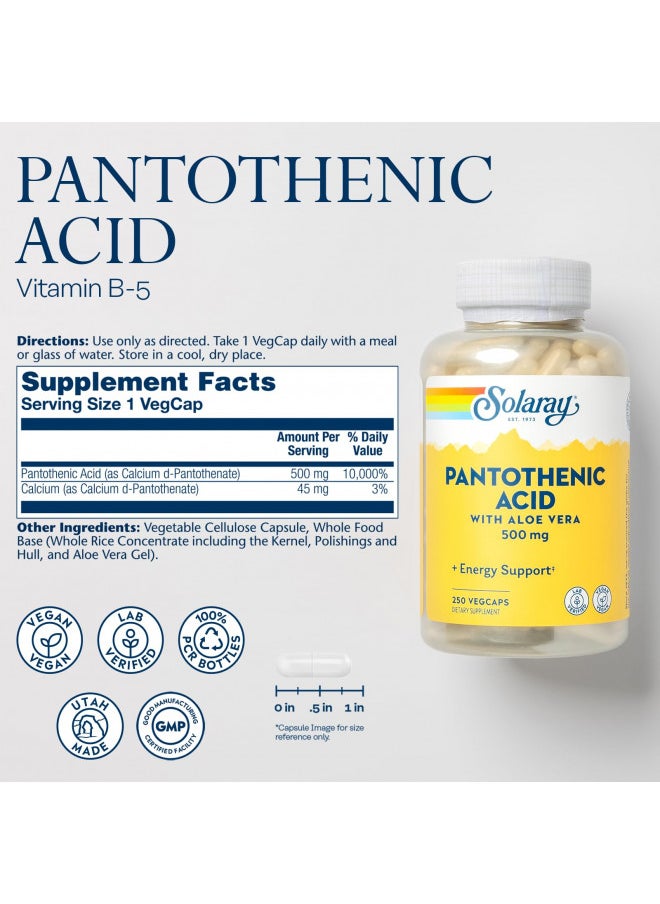 Solaray Pantothenic Acid 500mg - Vitamin B 5 - B Vitamin for Coenzyme-A Production, Energy Metabolism, Digestive Health, Hair Health, Skin and Nails Support - Vegan, 60-Day Guarantee - 250 VegCaps