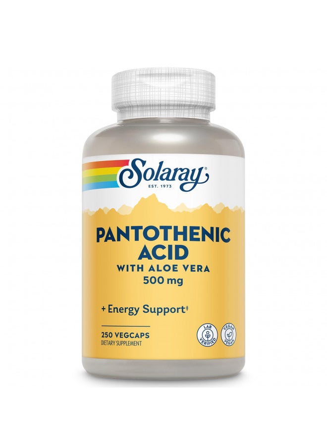 Solaray Pantothenic Acid 500mg - Vitamin B 5 - B Vitamin for Coenzyme-A Production, Energy Metabolism, Digestive Health, Hair Health, Skin and Nails Support - Vegan, 60-Day Guarantee - 250 VegCaps