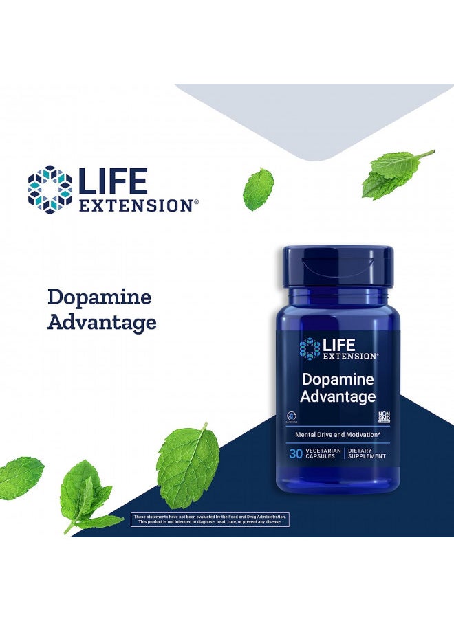 Life Extension Dopamine Advantage - Phellodendron Bark Extract Supplement with Vitamin B12 - for Youthful Dopamine Levels and Brain Health - Gluten-Free, Non-GMO, Vegetarian - 30 Capsules