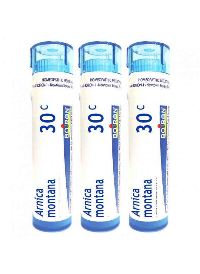 Arnica Montana 30c Homeopathic Medicine for Muscle Pain and Stiffness - Pack of 3 (240 Pellets)