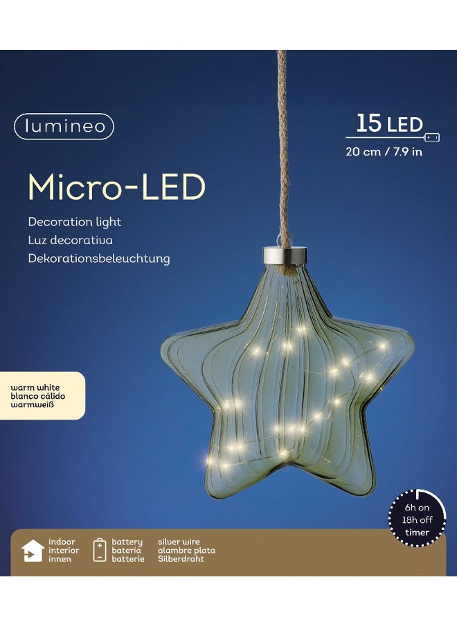 Micro Led Star Steady Bo Indoor 6.5X20X20Cm