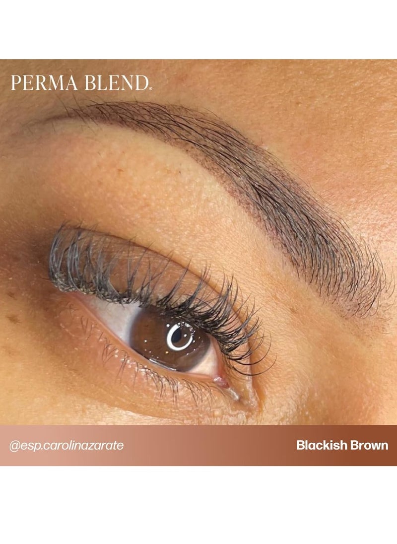 Perma Blend - Blackish Brown Tattoo Ink - Microblading Supplies for Eyebrow Tattoo or Eyeliner Permanent Makeup - Professional Tattoo Ink in Dark Blackish Brown - High Opacity - Vegan (0.5 oz)