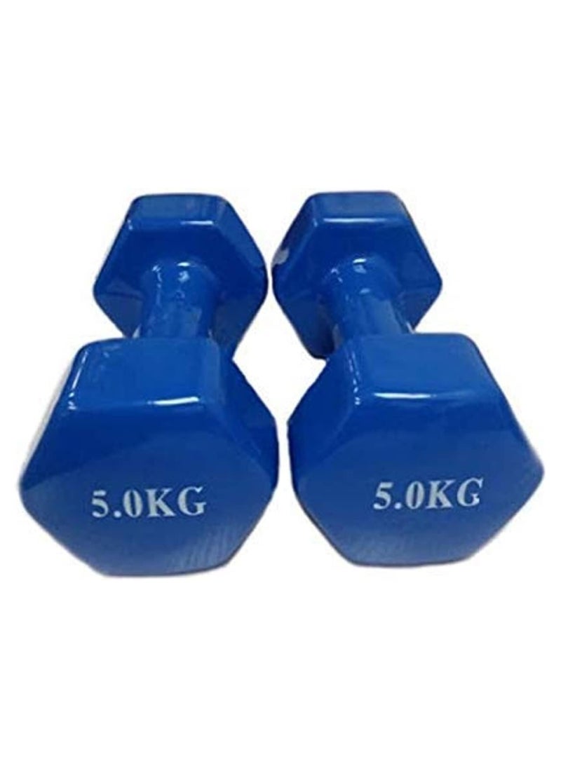 2 Pieces Double Dumbbells Vinyl Blue, 5 kg Standing Dumbbell Weightlifting Set Home Fitness Equipment Garter Dumbbell Rack 5kg