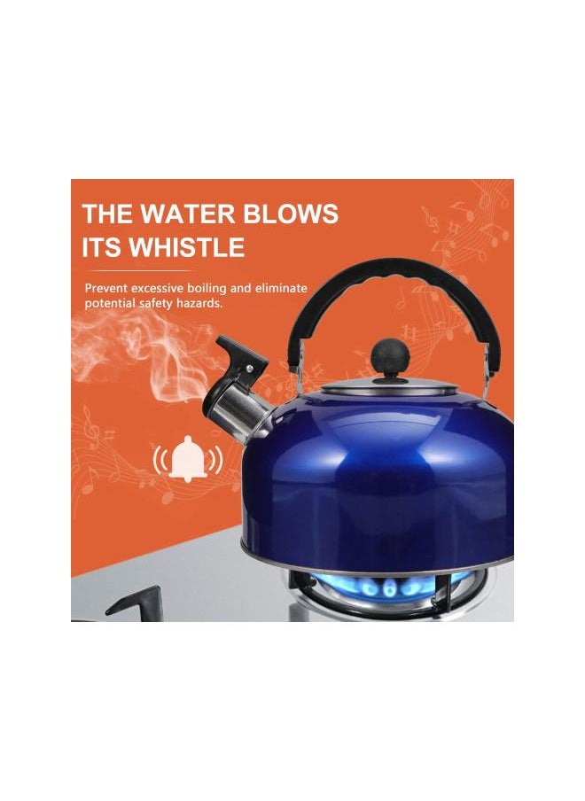 Whistling Tea Kettle Stove Top Stainless Steel Teapot Water Kettle Coffee Kettle Tea Maker with Handle for Home Outdoor Camping Hiking Blue