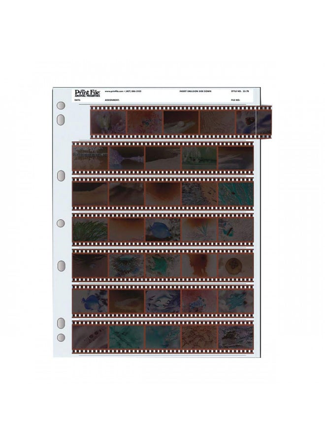 Archival 35mm Size Negative Pages Holds Seven Strips of Five Frames - 100 Pack