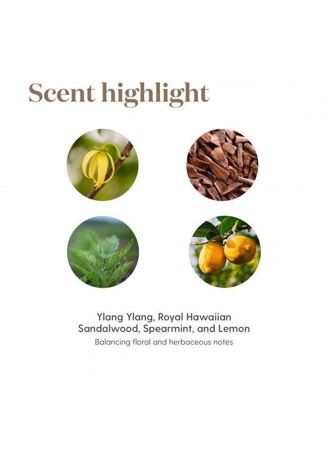 Young Living Release Essential Oil 15ml - Soothing Aromatherapy - Support Emotional Release & Letting Go - Topical & Aromatic - Find Relief and Renewal