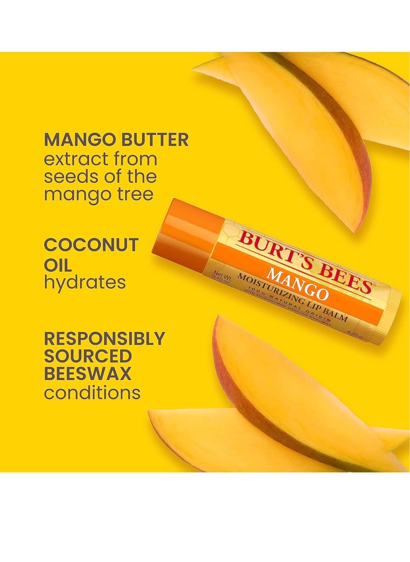 Burt's Bees Lip Balm Stocking Stuffers, Moisturizing Lip Care Christmas Gifts, SuperFruit - Pomegranate, Coconut & Pear, Mango, Pink Grapefruit, Natural Origin Treatment (4-Pack)