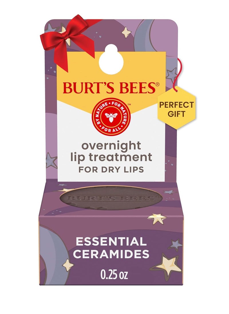 Burt's Bees Overnight Intensive Lip Treatment, 0.25 oz - Moisturizing, Restorative, Reduces Fine Lines, Vitamin E, Ceramides Oils, Leaping Bunny Certified, Compact Jar