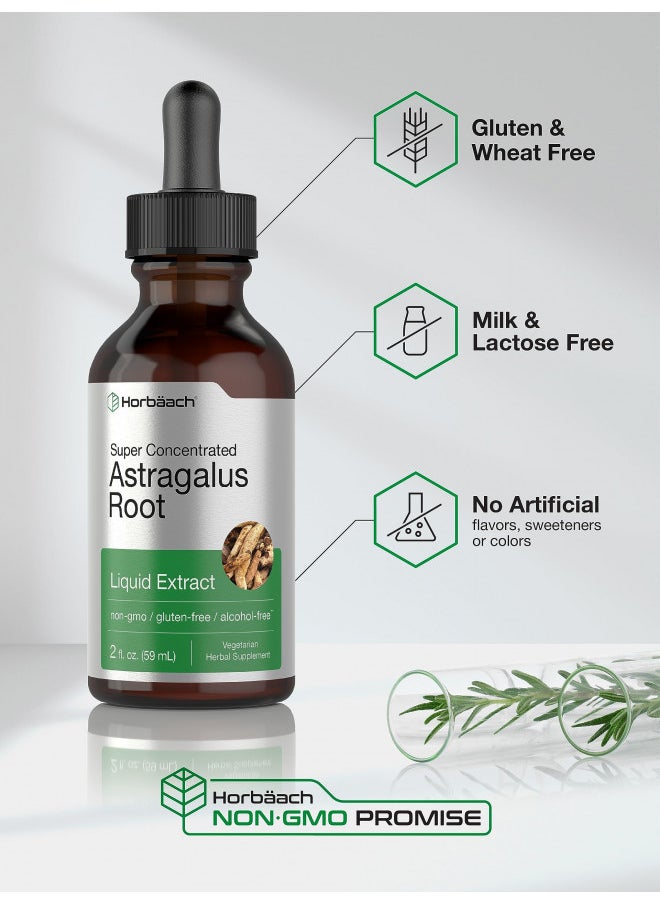 Astragalus Root Extract Liquid 2 Fl Oz Alcohol Free Tincture Super Concentrated Vegetarian